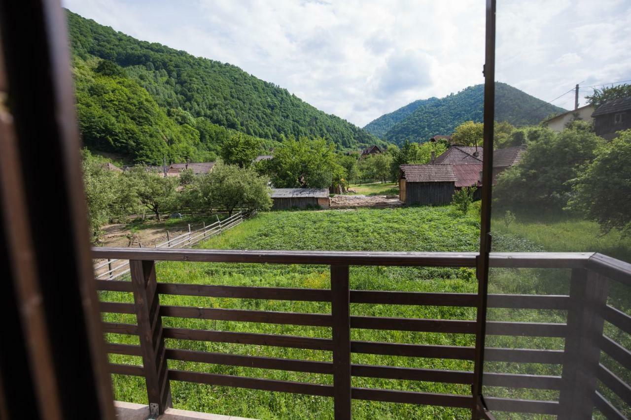 Hotel Casa Dacilor Transalpina Şugag Exterior foto